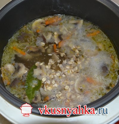 Грибной суп с овсянкой  в мультиварке, приготовление, шаг 4