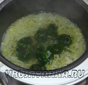 Суп- пюре из шпината с сельдереем и капустой в мультиварке, приготовление, шаг 3