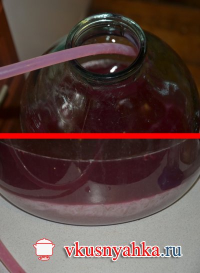 Рецепт домашнего вина из винограда, приготовление, шаг 7